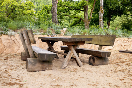 woodland picnic sanctuary, peaceful sandy clearing featuring handcrafted timber seating and canopy...