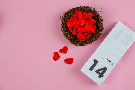 Many red hearts in the nest and a calendar for Valentine's Day. High quality photoの写真素材