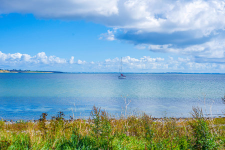 Grassy Foreground Overlooking Calm Coastal Bay With Distant Sailboat And Soft Horizon, Wild Meadow...