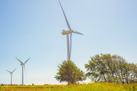 Tall Turbine Rising At Field Rim Near Grouped Trees, Wild Grasses In Foreground And Blades Poised...