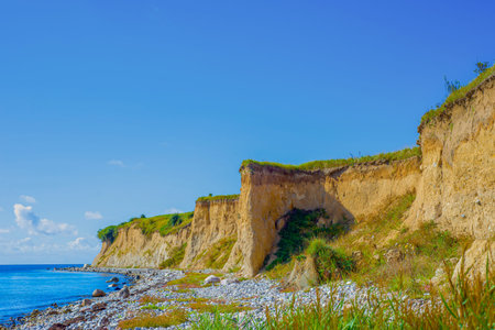 Colorful Sea View With Blooming Plants. Vivid Seaside Panorama Featuring Vibrant Flora And Sunlit...