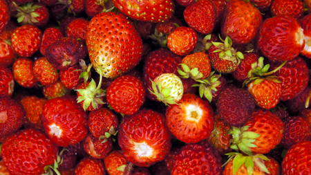 Strawberryの写真素材