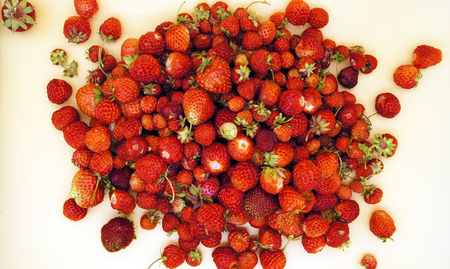 Strawberryの写真素材