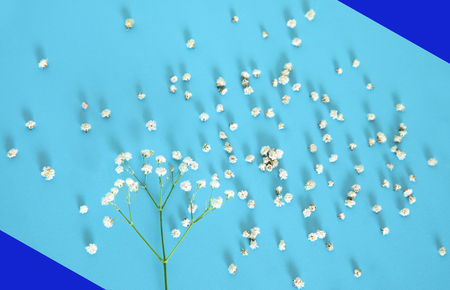 White little flowers on blue background with dark blue corners.の写真素材