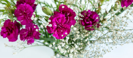 White little flowers and fuchsia flowers on white background.