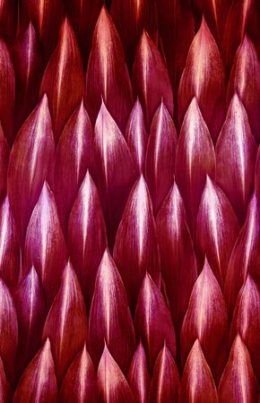 Paper with red leafs. Wallpaper. Background.の写真素材