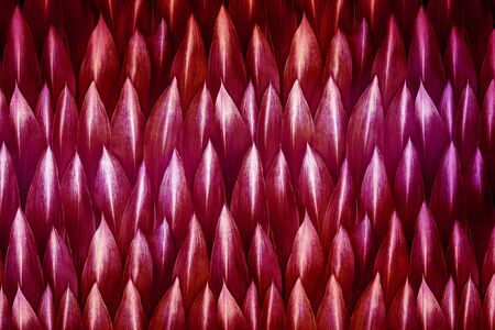 Paper with red leafs. Wallpaper. Background.の写真素材