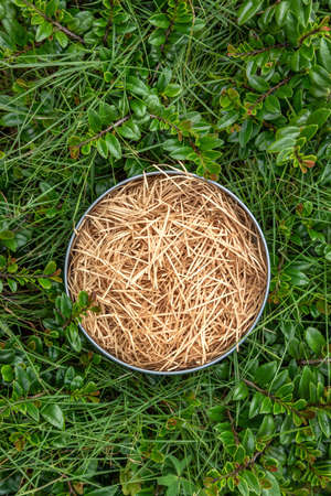 Metal bank on green grass. Decor in metal capacity.の写真素材