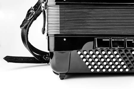 digital accordionの写真素材