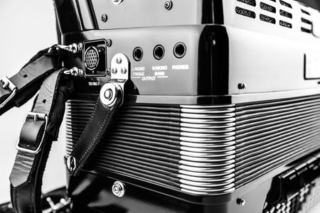 digital accordion details