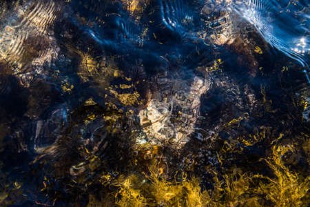 Ocean bottom background - water surfaceの写真素材