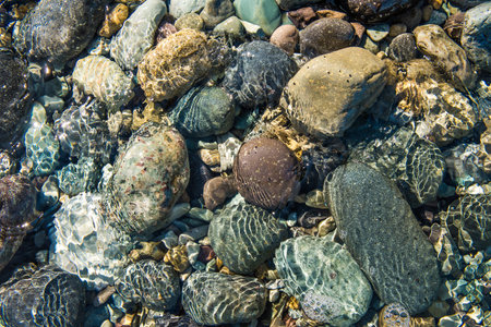 pacific ocean bottom rocks