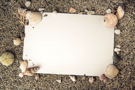 Ocean shell frame with sandの写真素材