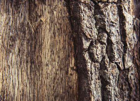 Old wood textureの写真素材
