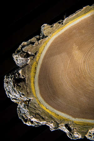 Old wood textureの写真素材