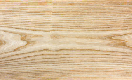 Elm wood texture - natural wood textureの写真素材