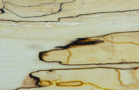 Old Wood texture - Mapple tree - Stabilised wood