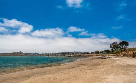 Half Moon Bay, California Shots- USA - juneの写真素材