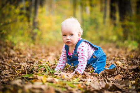 happy baby girl laughing and playing in the autumn on the forestの写真素材
