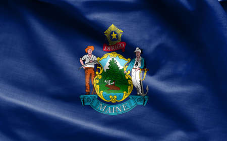 Fabric texture of the Maine Flag - Flags from the USAの写真素材
