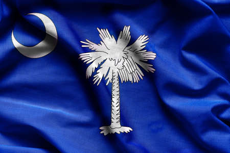 Fabric texture of the South Carolina Flag - Flags from the USAの写真素材