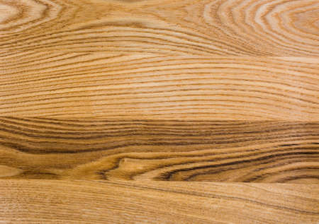 The texture of the wood. Flooring. Oak, Ash and Elm treesの写真素材