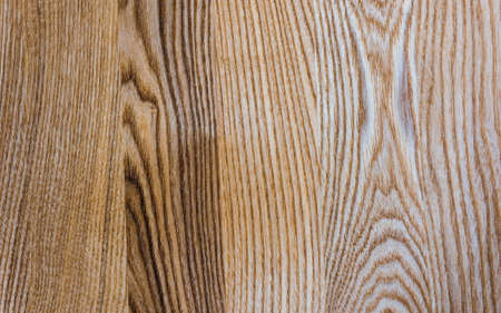 The texture of the wood. Flooring. Oak, Ash and Elm treesの写真素材