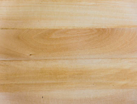 light linden Wood Texture - natural wooden boardの写真素材