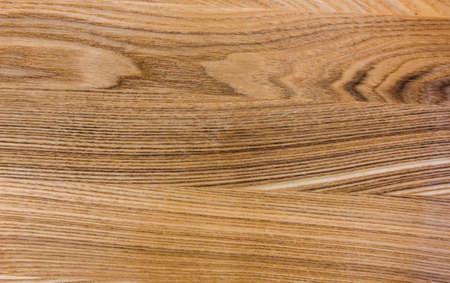 The texture of the wood. Flooring. Oak, Ash and Elm treesの写真素材