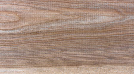 Natural Taiga birch wood grain texture pattern backgroundの写真素材