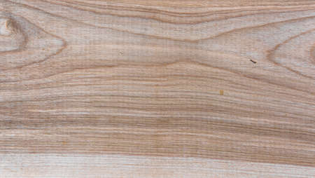 Natural Taiga birch wood grain texture pattern backgroundの写真素材