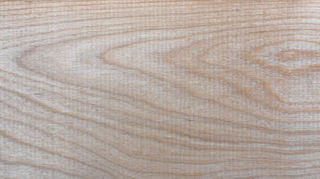Natural Taiga birch wood grain texture pattern backgroundの写真素材