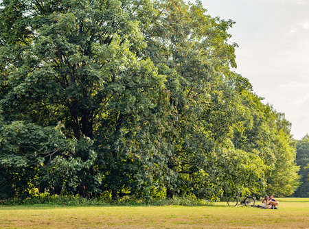 Couple with bicycles in park near big green tree have lunch. Boy and girl talking and sitting on grass in gardenの写真素材