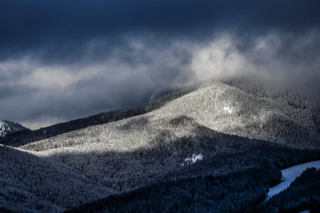 Fantastic winter landscape in the mountains. The gray gloomy sky. Beauty world.