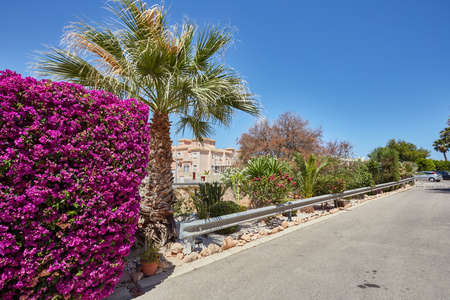 Orihuela, Spain- June 06, 2016: Apartments and villas for tourists near the sea in Spain in the region Orihuela.のeditorial素材