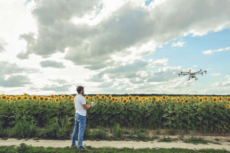 Young man watching and navigating a flying drone in blue clear sky over sunflower field.の写真素材