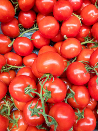 Red tomatoes background. Group of tomatoes with reen branchの写真素材