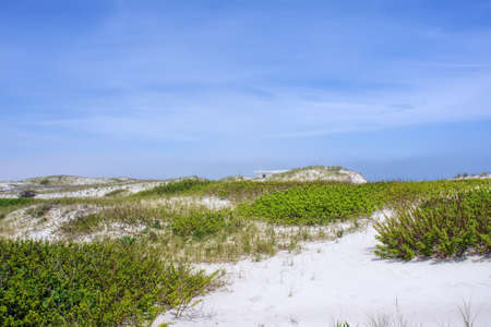 A dune with grassの写真素材