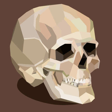 vector skull on the brown backgroundのイラスト素材