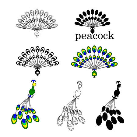 Peacock symbol for business and companiesのイラスト素材