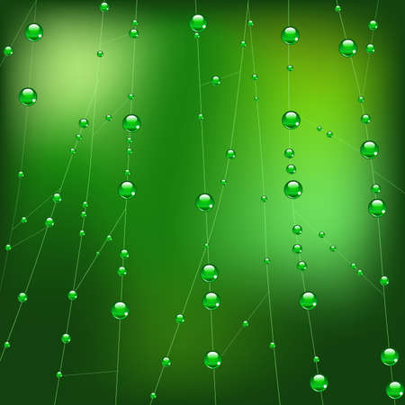 Vector lines of spider web in dewのイラスト素材