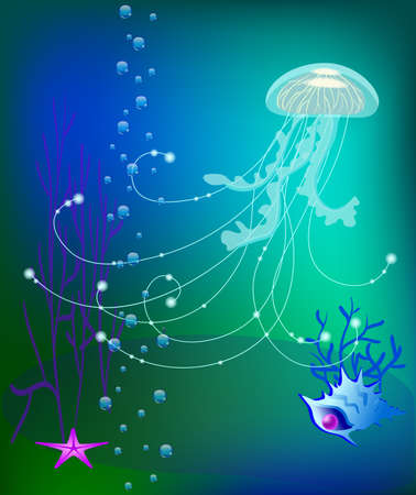 jelly fish underwater world, sea shellのイラスト素材