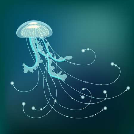 Vector Illustration with jelly fish isolatedのイラスト素材