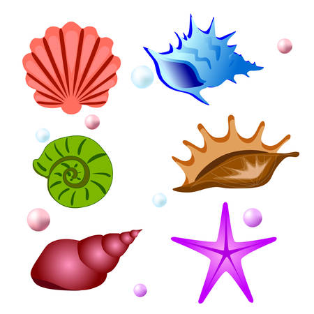 Sea shells symbols collection. Vector setのイラスト素材