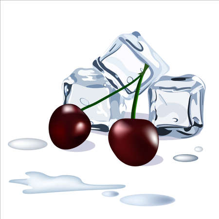 Vector ice cubes drops of water snd cherry berriesのイラスト素材