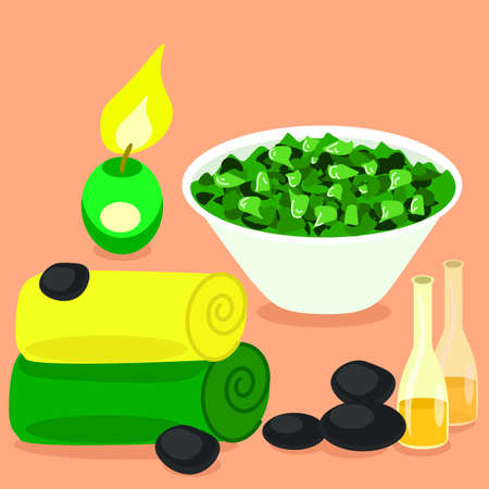 Vector set of spa subjects for body care isolated on the pink backgroundのイラスト素材