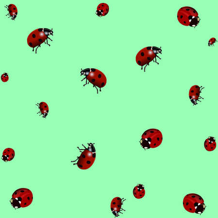 Ladybird texture. Realistic design. Vector illustration.の写真素材