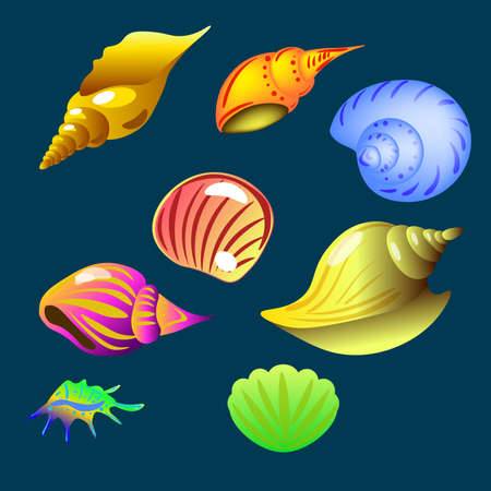 vector set of sea shell on the dark background isolatedのイラスト素材