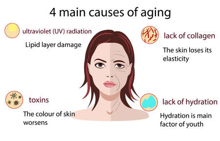 Causes of aging, vector illustration isolated on the white backgroundのイラスト素材