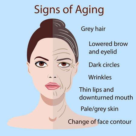 Vector signs of aging face with two types of skin, young and old isolatedのイラスト素材